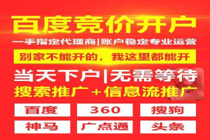 网络推广策略：竞价广告的实践案例